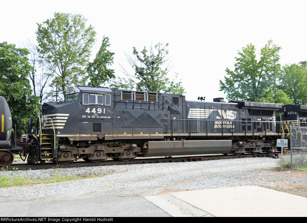 NS 4491